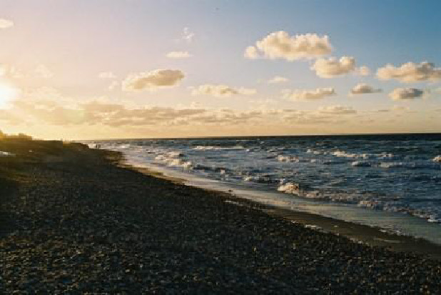 wp4279ec0d_0f.jpg